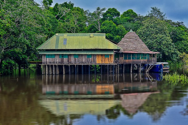 Érase una Vez en la Jungla